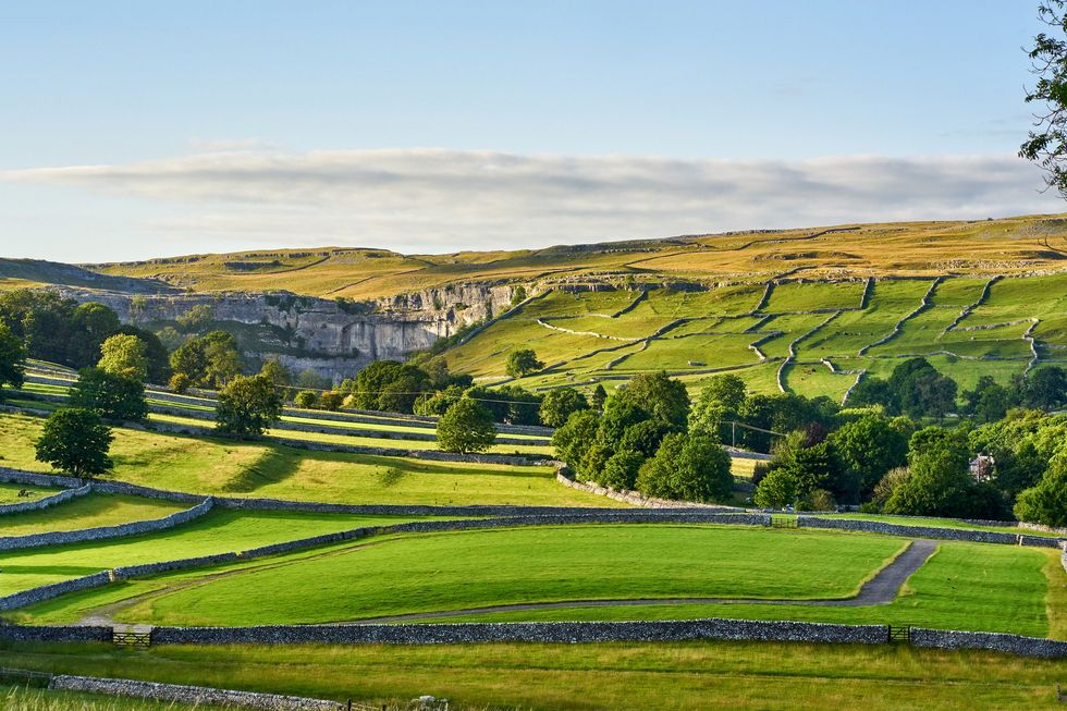 Agricultural field, Skipton, Yorkshire Dales