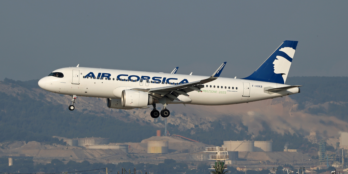 NextImg:Passenger jet forced to circle mid-flight for an HOUR thanks to sleeping air traffic controller