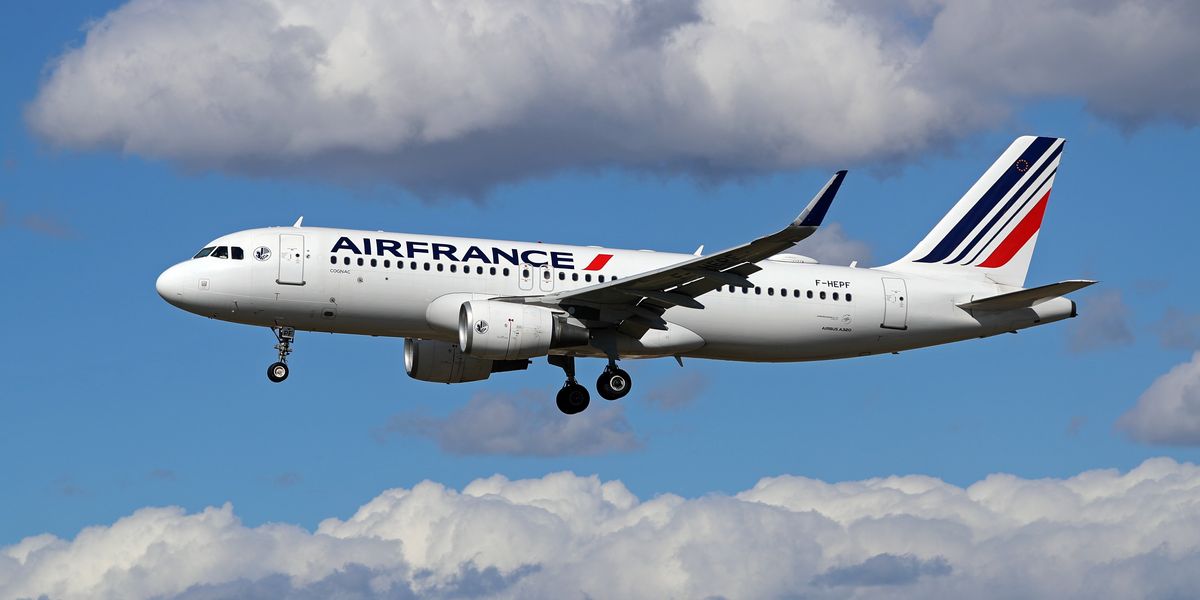 NextImg:POLL OF THE DAY: Should it be a criminal offence for cabin crew to refuse to fly migrants? - VOTE NOW