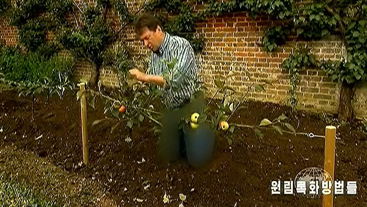 Alan Titchmarsh's jeans