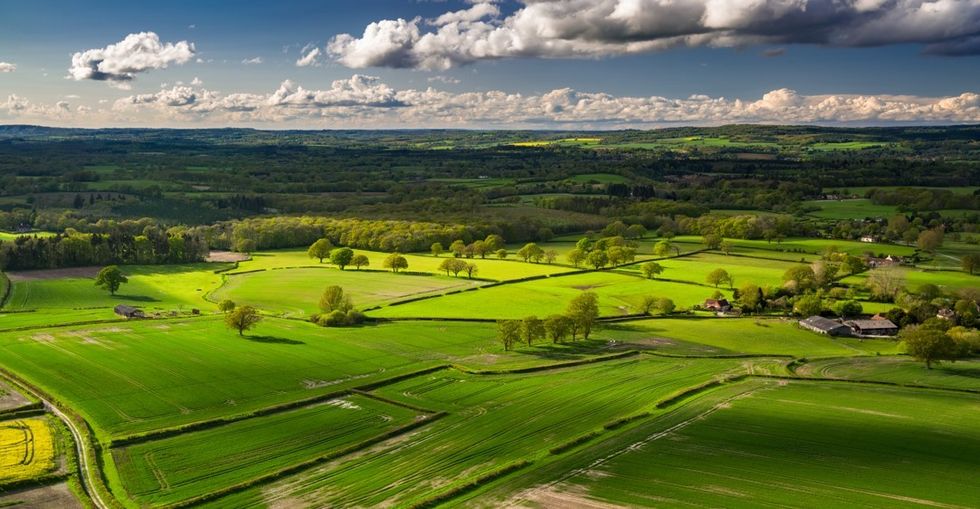 Alan Wilder West Sussex