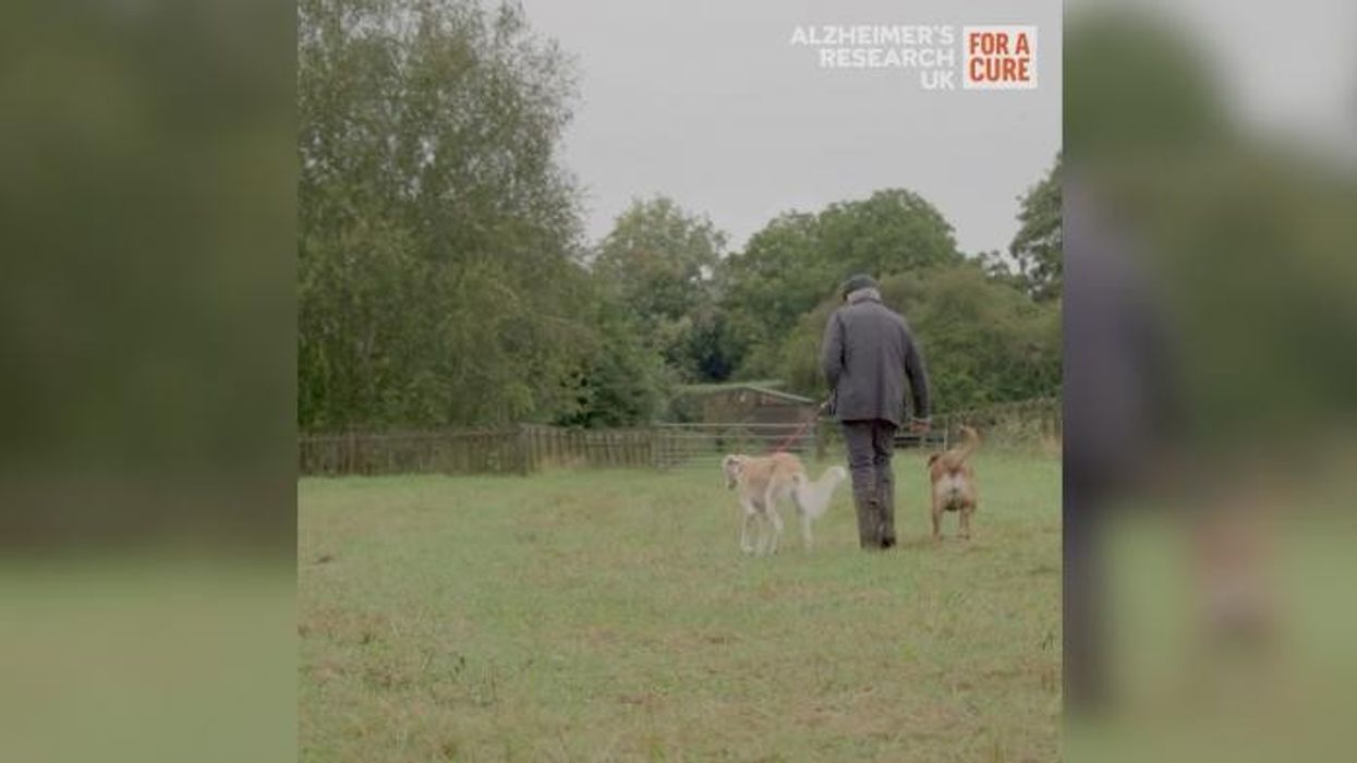 Alastair Stewart: How my beloved animals are helping me live with dementia