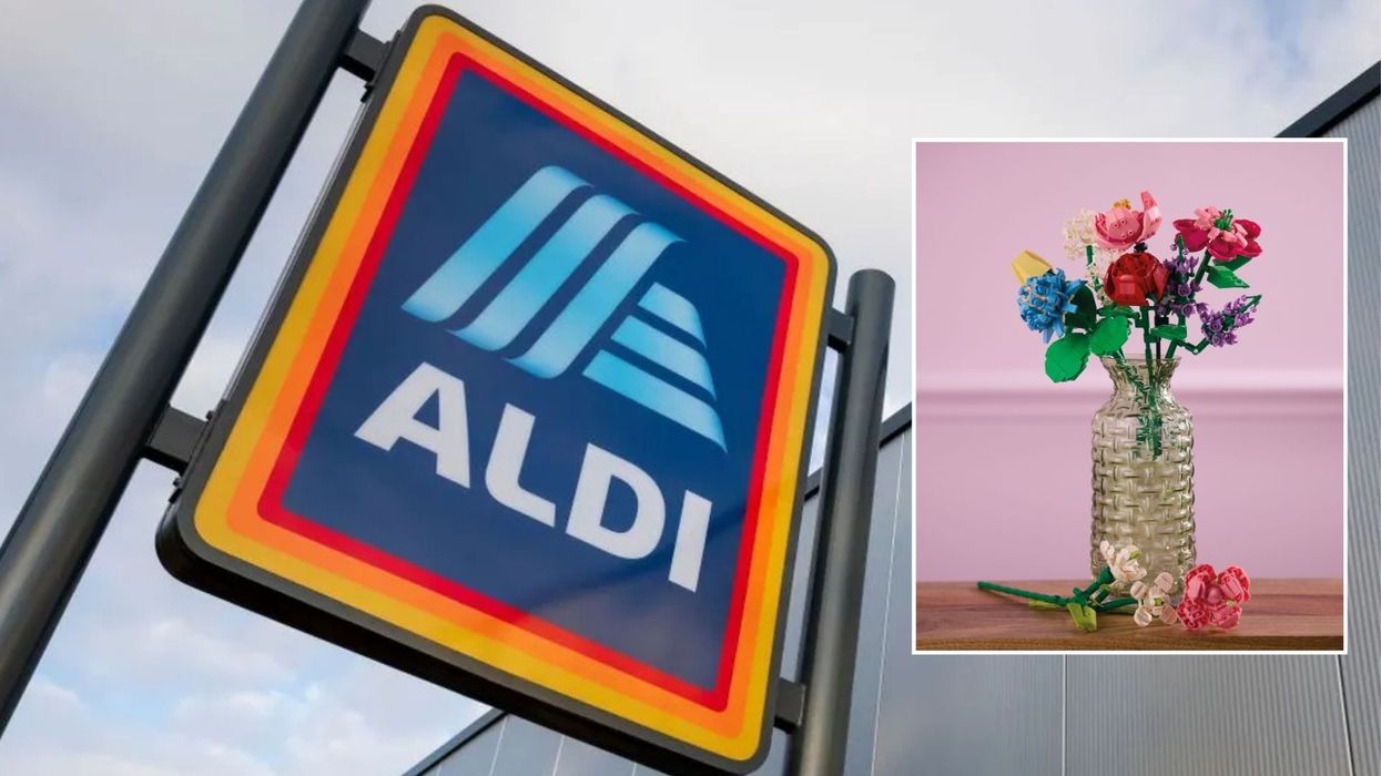 Aldi/Aldi Bloom in Blocks Building Flowers