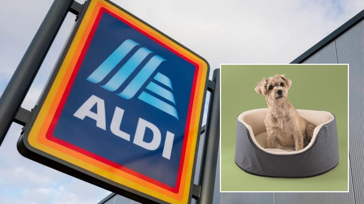 Aldi/Comfy Pet Beds