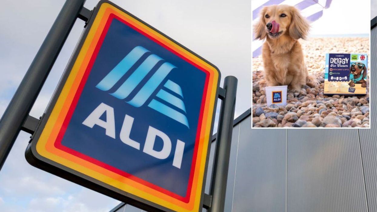 Aldi / Dog and Aldi's dog ice cream