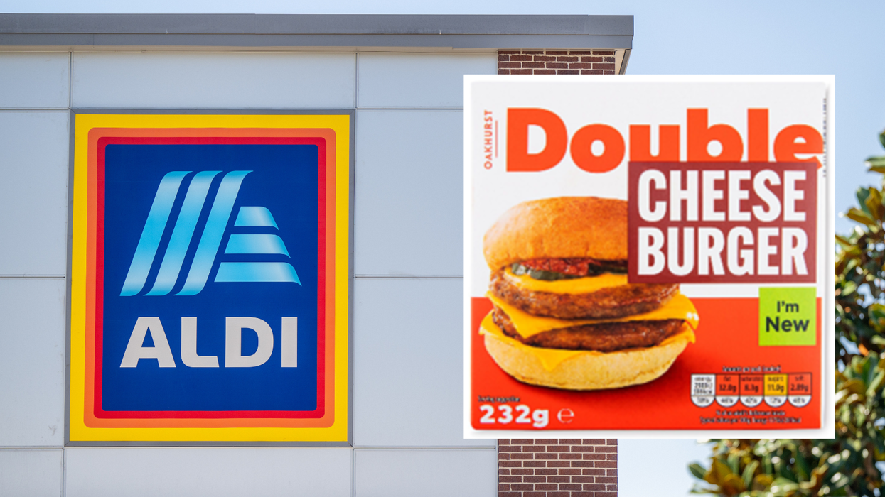 Aldi/fakeaway burger