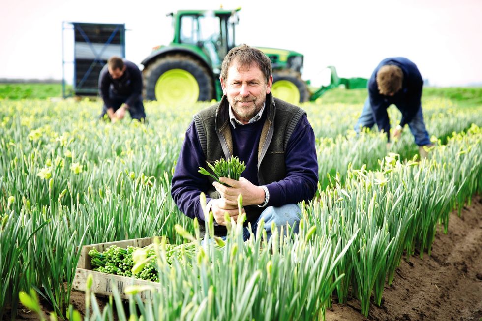 Aldi farmer