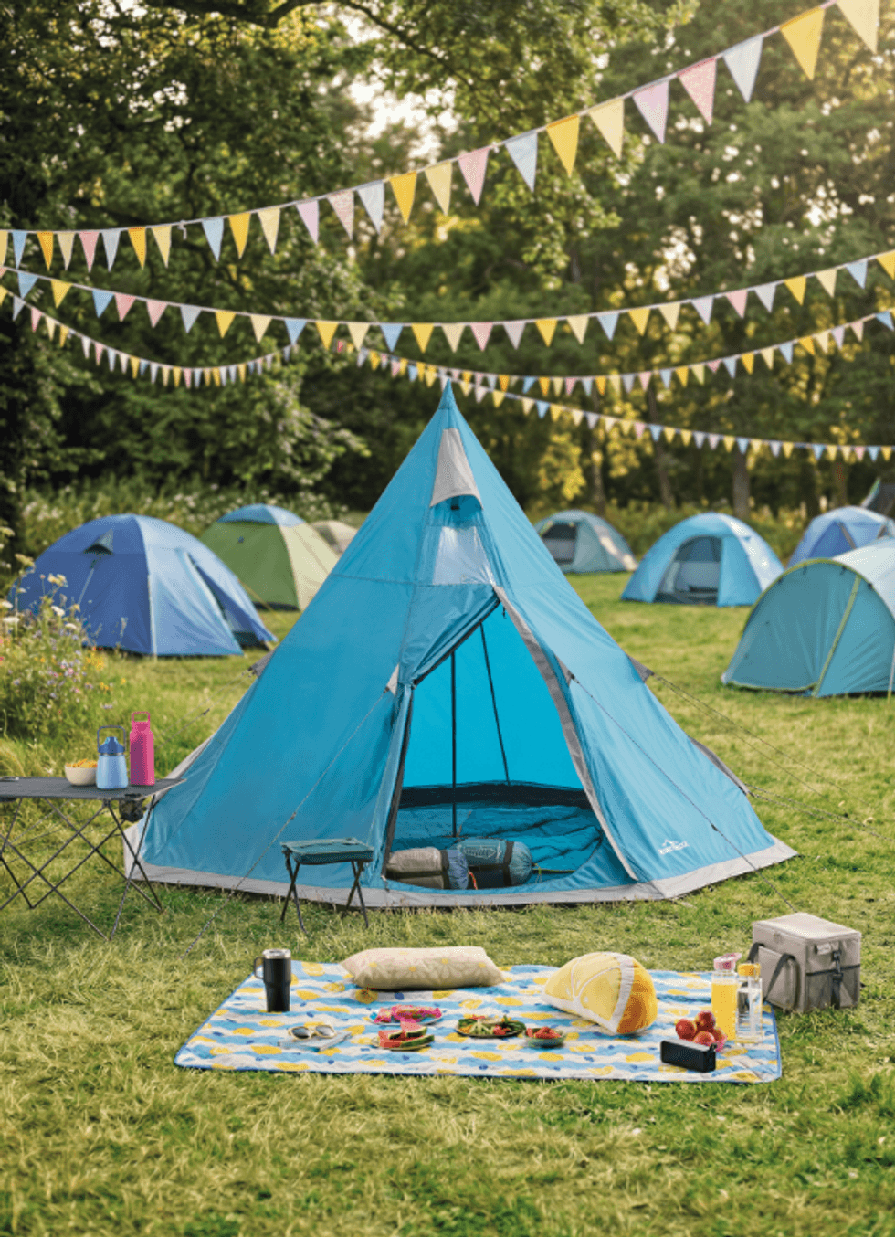 Aldi festial range, tent and picnic bits