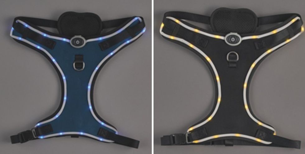 Aldi LED Dog Harness
