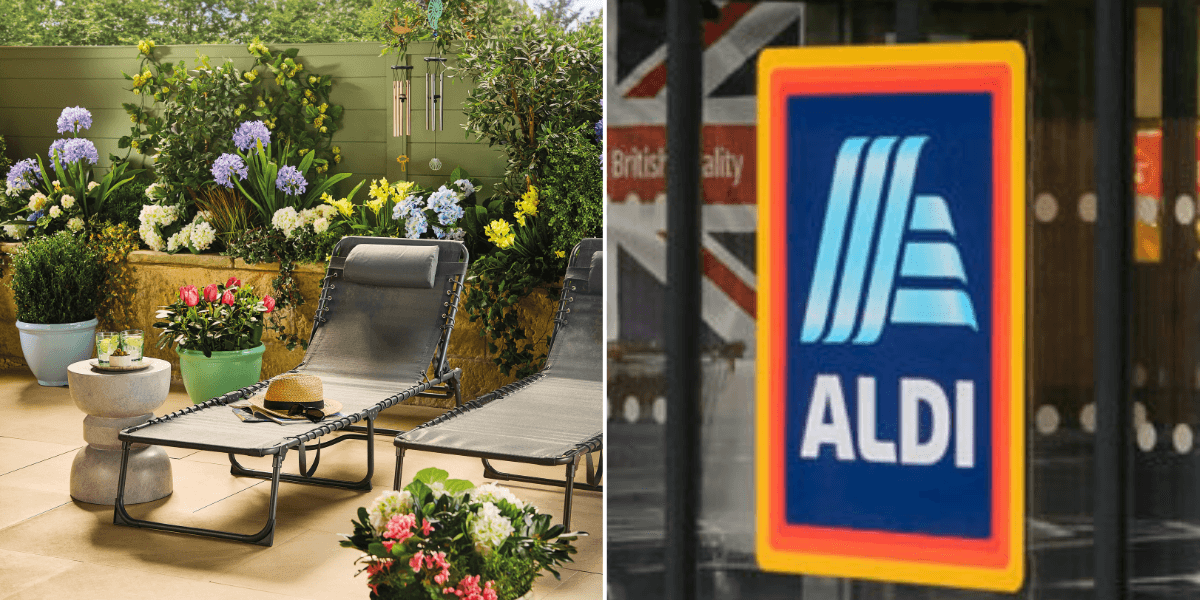 Aldi expands outdoor range with essentials for a budget-friendly garden makeover Aldi expands outdoor range with essentials for a budget-friendly garden makeover