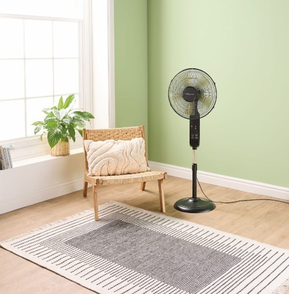 Aldi Pedestal fan
