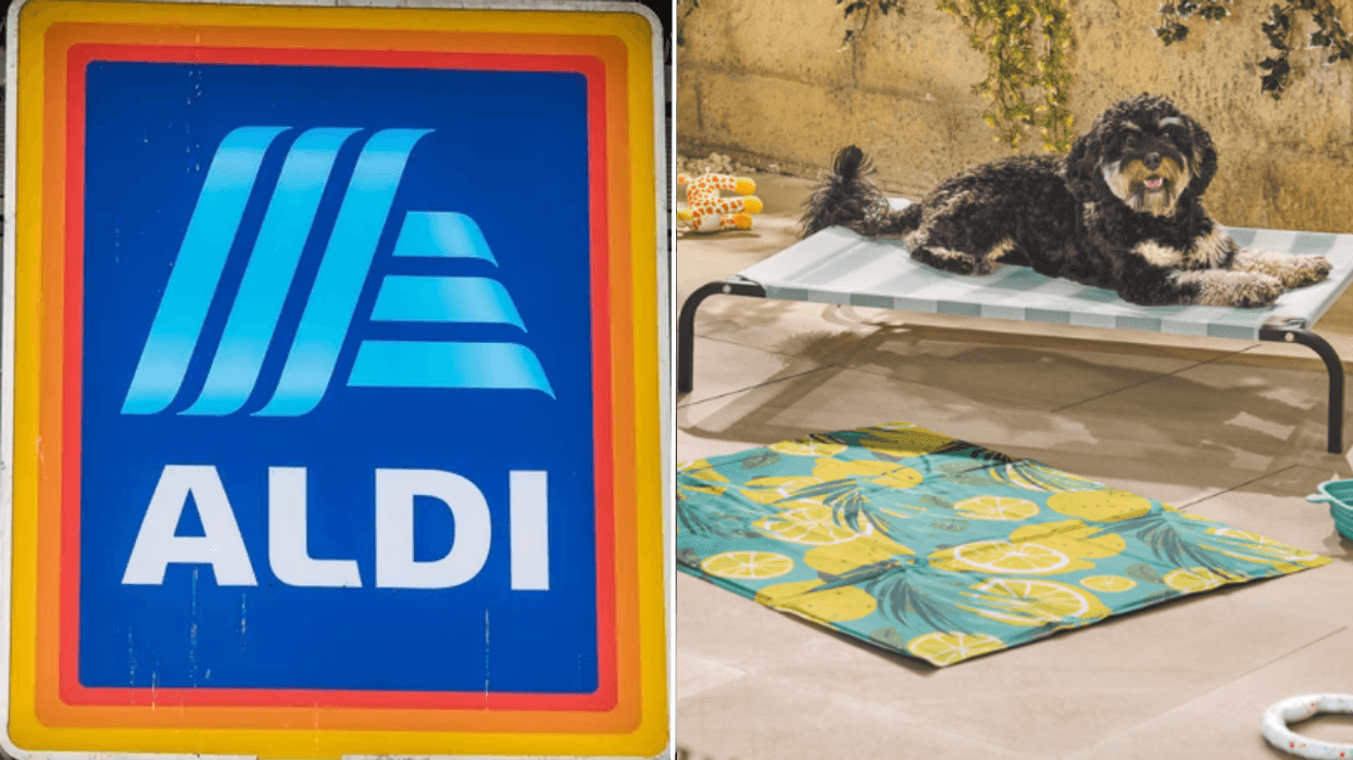 Aldi's new pet range