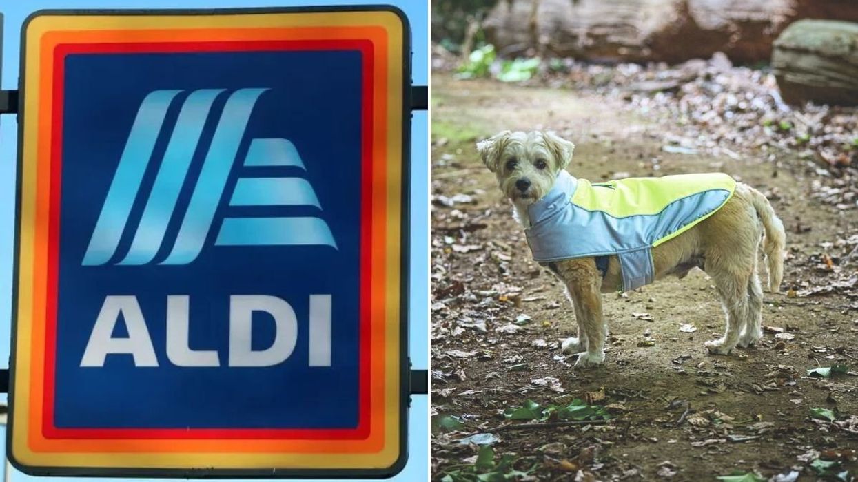 Aldi store sign / Dog wearing Aldi's Neon Dog Coat