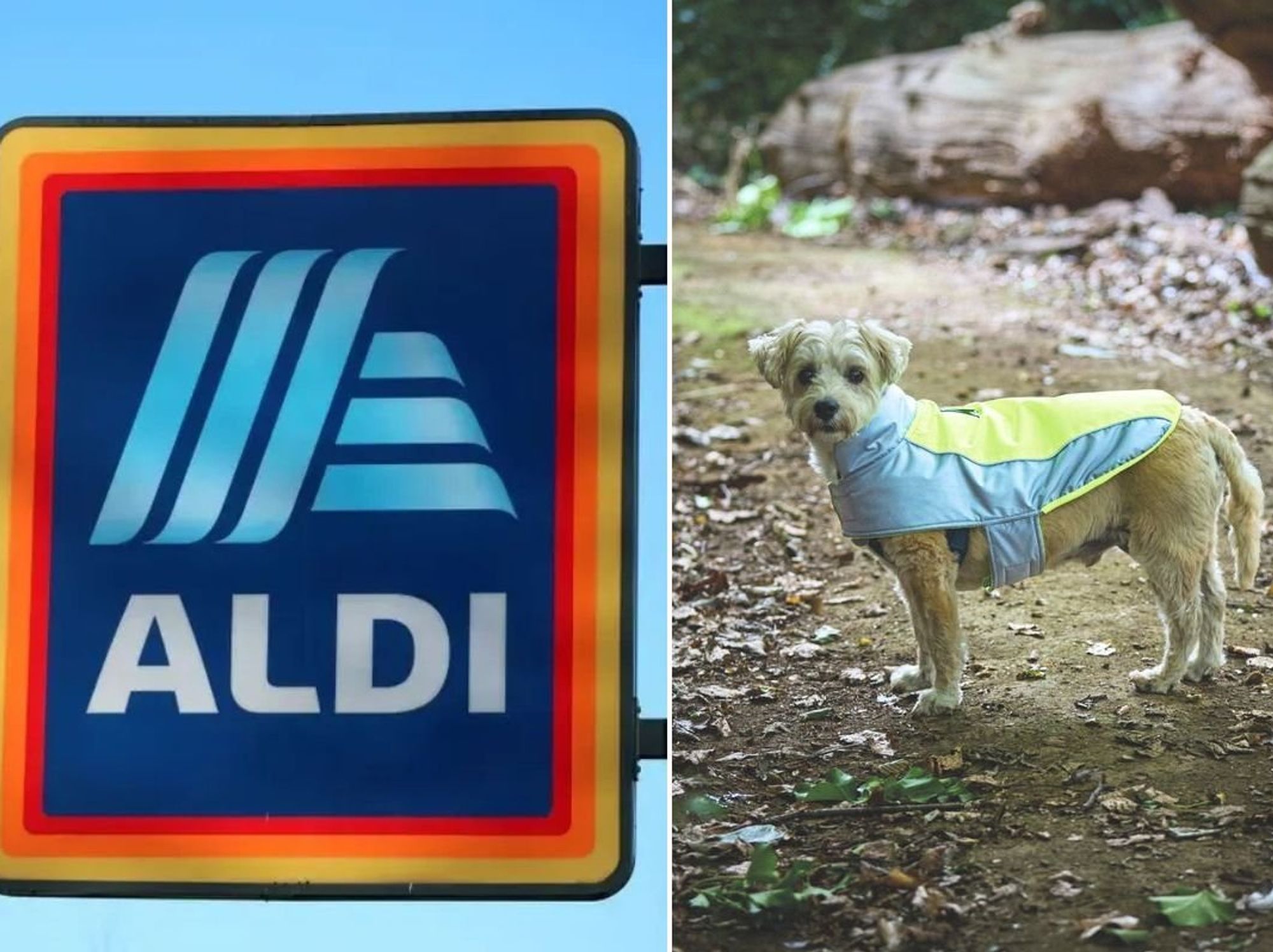 Aldi store sign / Dog wearing Aldi's Neon Dog Coat