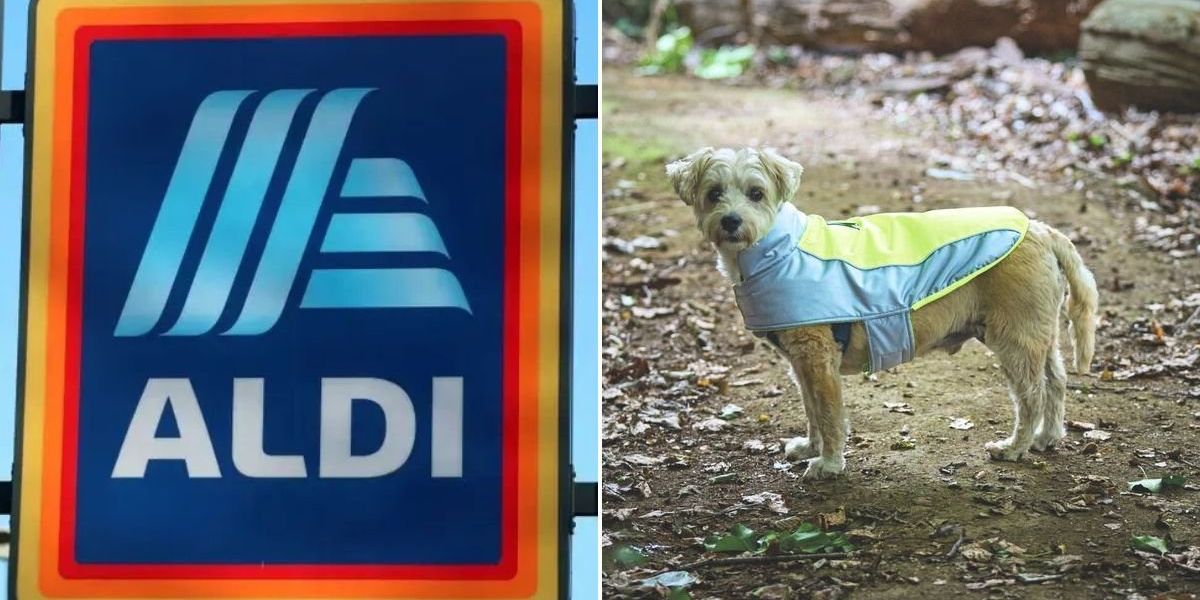 Aldi brings out 13 ‘must-haves’ for pet owners this autumn/winter – but you’ve got to act fast Aldi brings out 13 ‘must-haves’ for pet owners this autumn/winter – but you’ve got to act fast