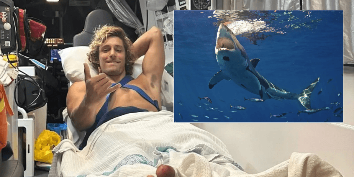 Shark attack horror as surfer mauled by massive beast before being drawn underwater