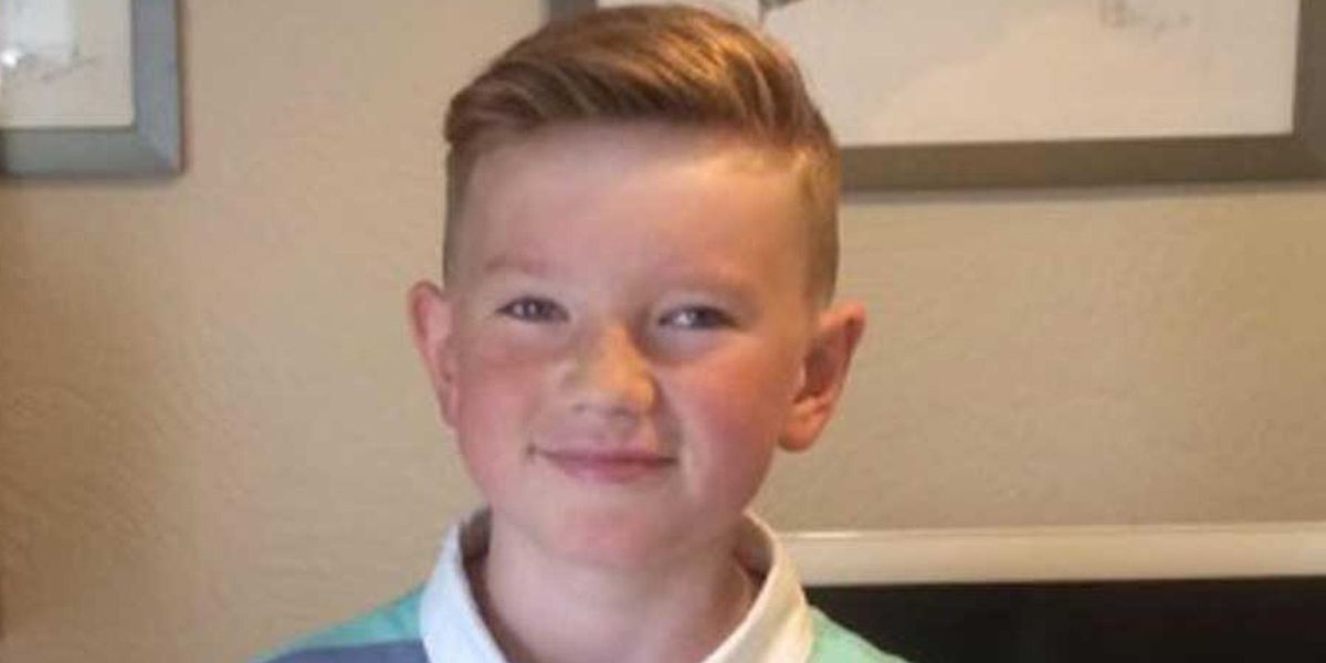 NextImg:British boy who went missing aged 11 found ALIVE in France after 'walking in mountain for days'