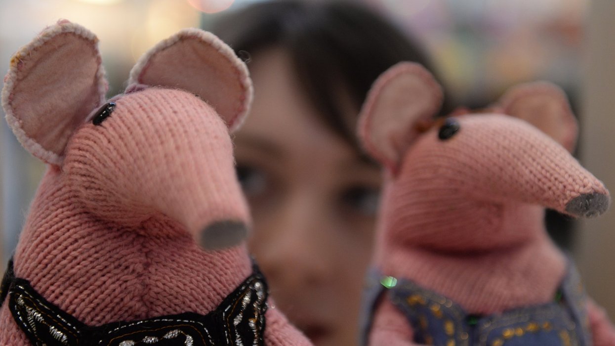 Alice Sage, Curator at the V&A Museum of Childhood in east London with two of the original Clanger puppets