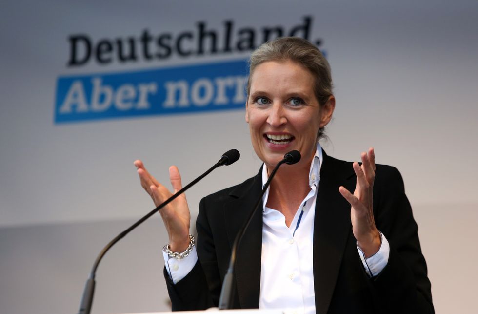 Alice Weidel, who leads the right-wing Alternative for Germany party, claimed the UK was \u201cdead right\u201d to sever ties with the EU