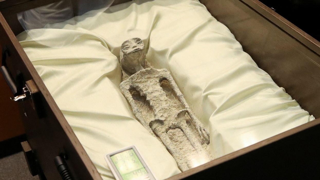 Alleged alien remains
