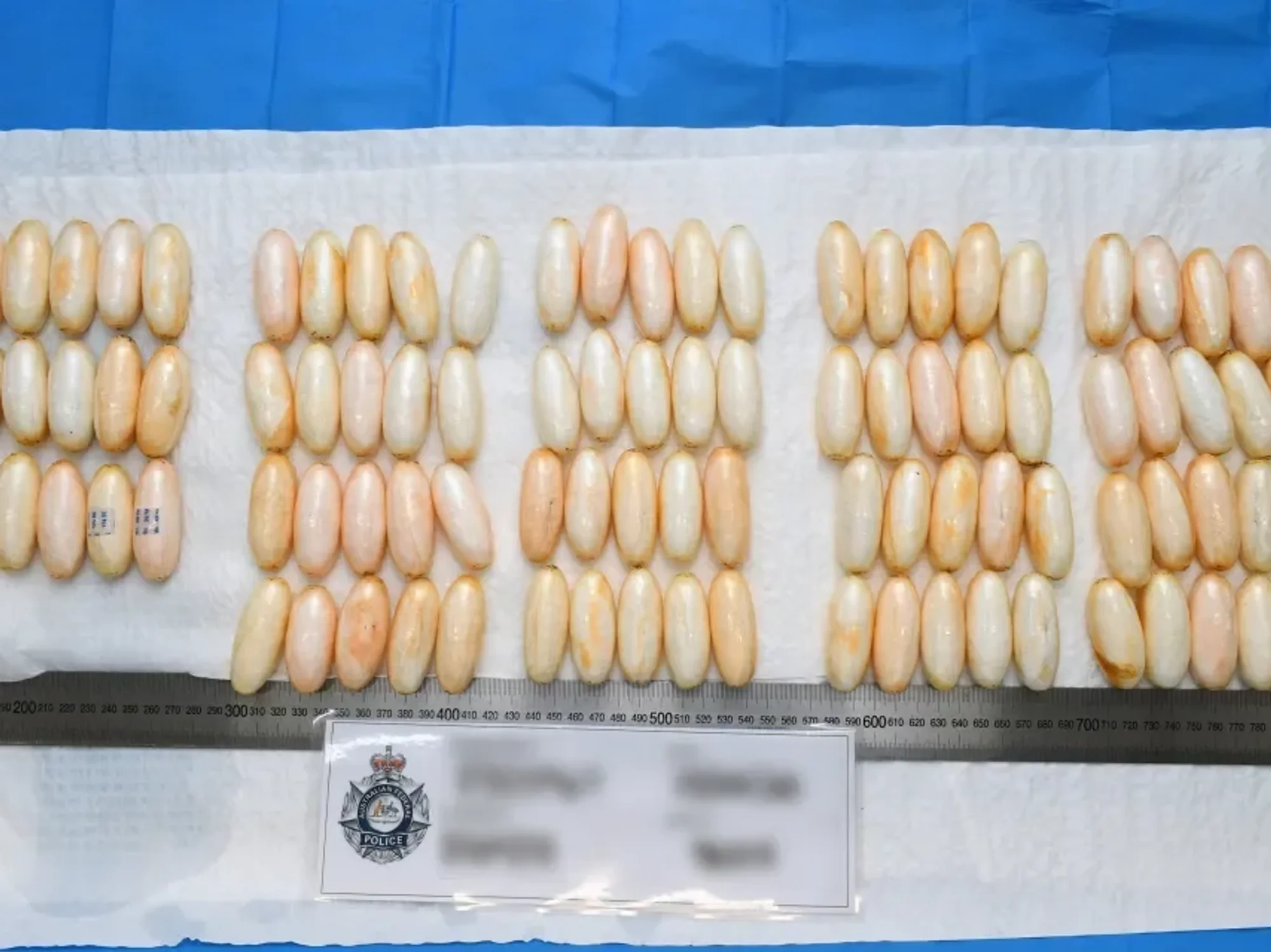 Alleged drug haul