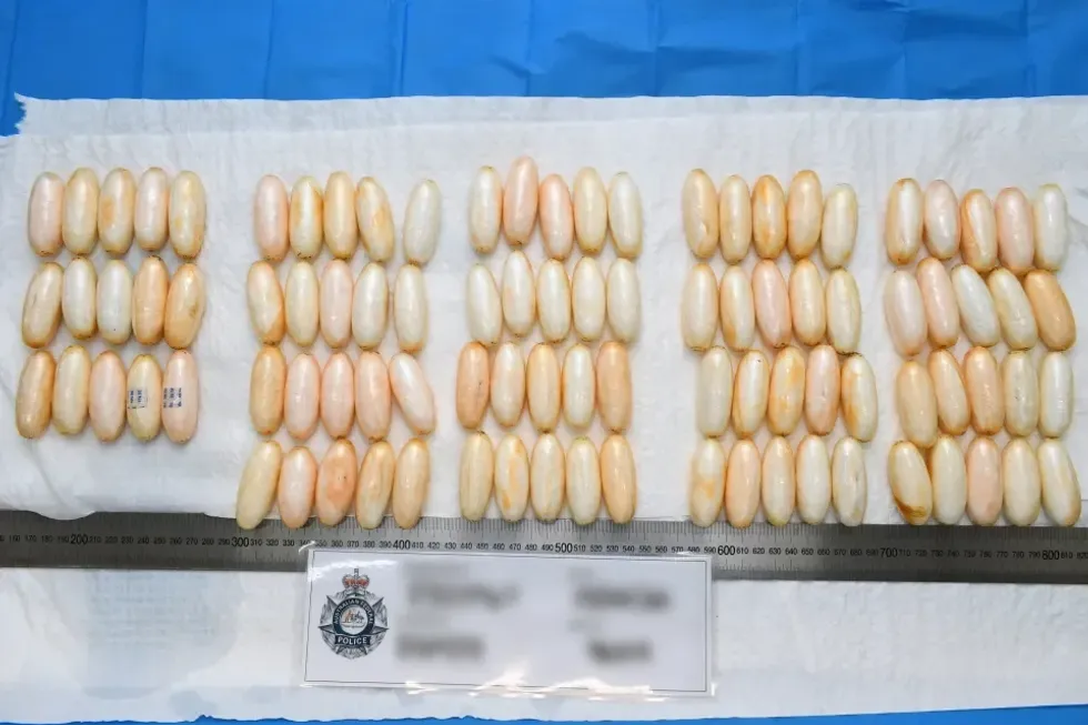 Suposta busca por drogas