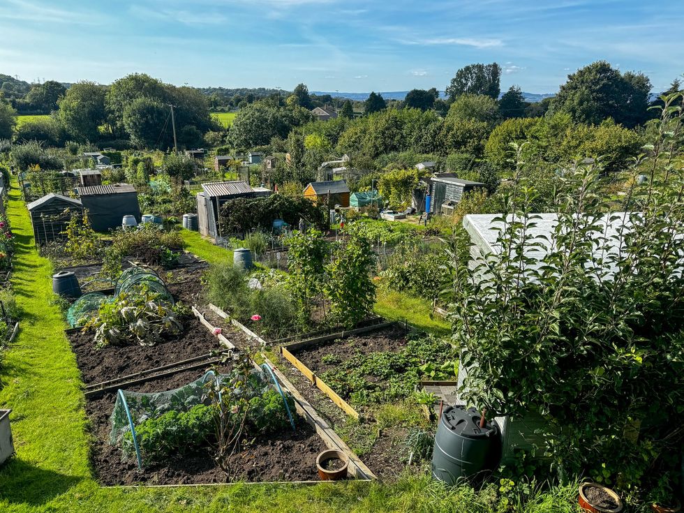 Allotment