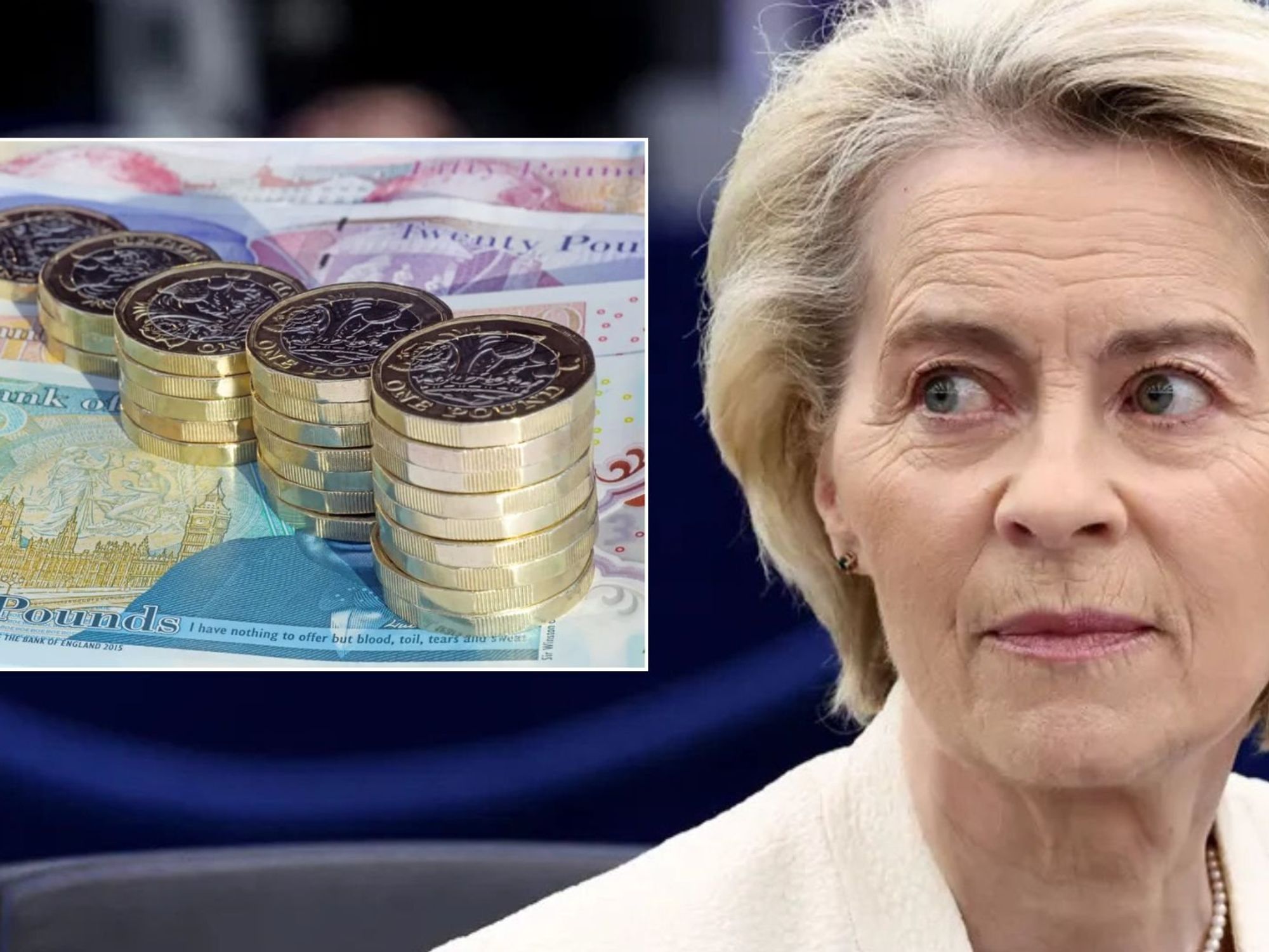 Almost 70% of EU's 2024 spending 'affected by material error' as staggering amount of suspected f...