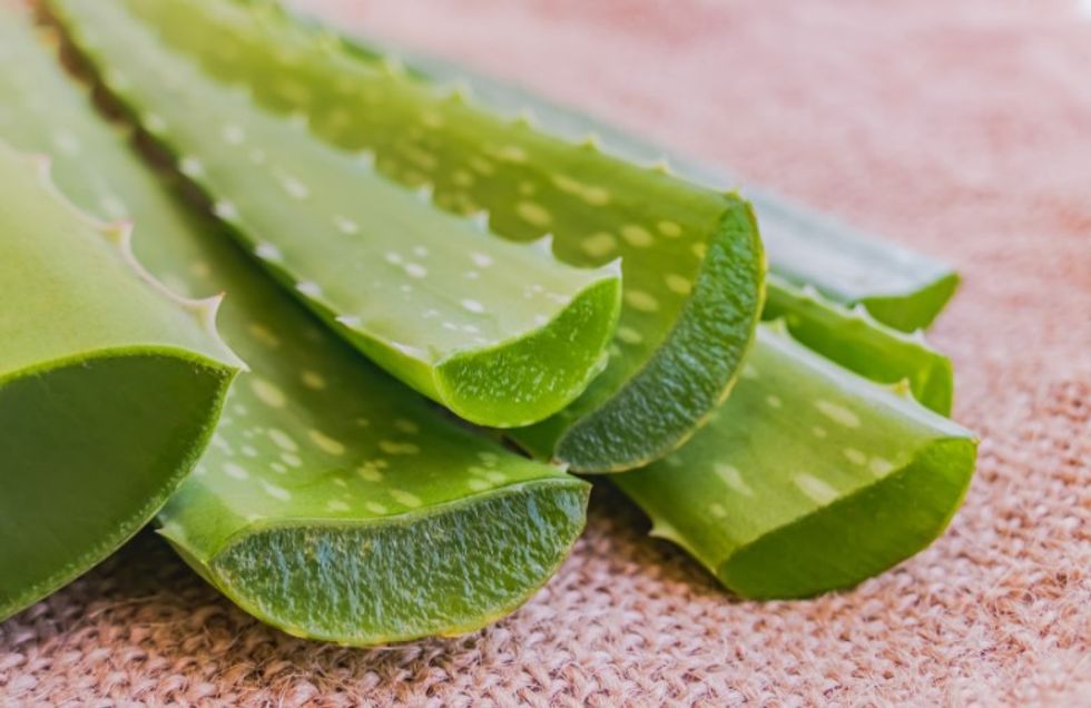 Aloe Vera