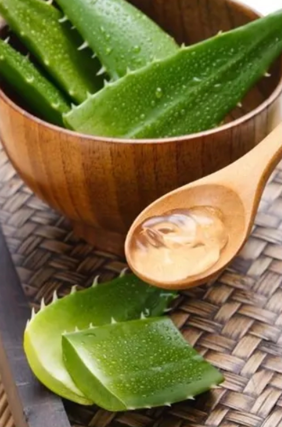Aloe vera