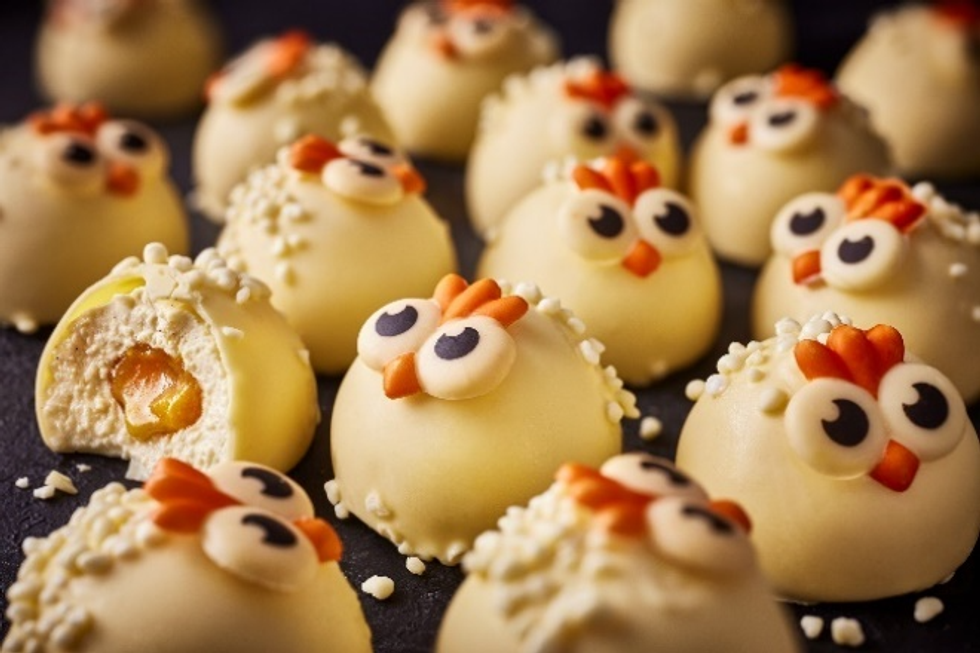 Alphonso the Chick Cheesecakes