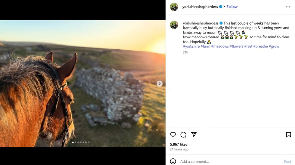 Amanda Owen post