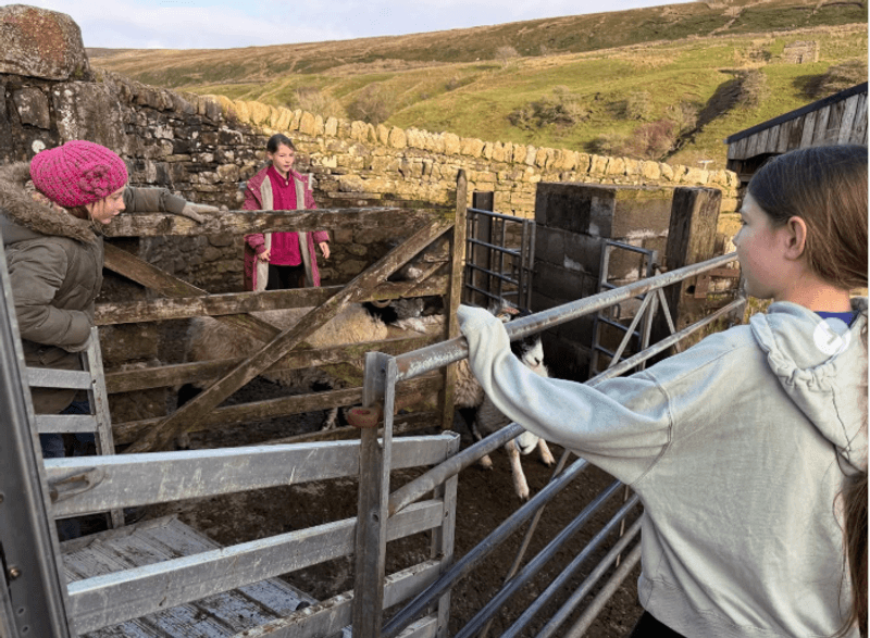 Amanda Owen leaves fans gobsmacked as children branded 'unrecognisable' in new Ravenseat update: 'So grown up!'