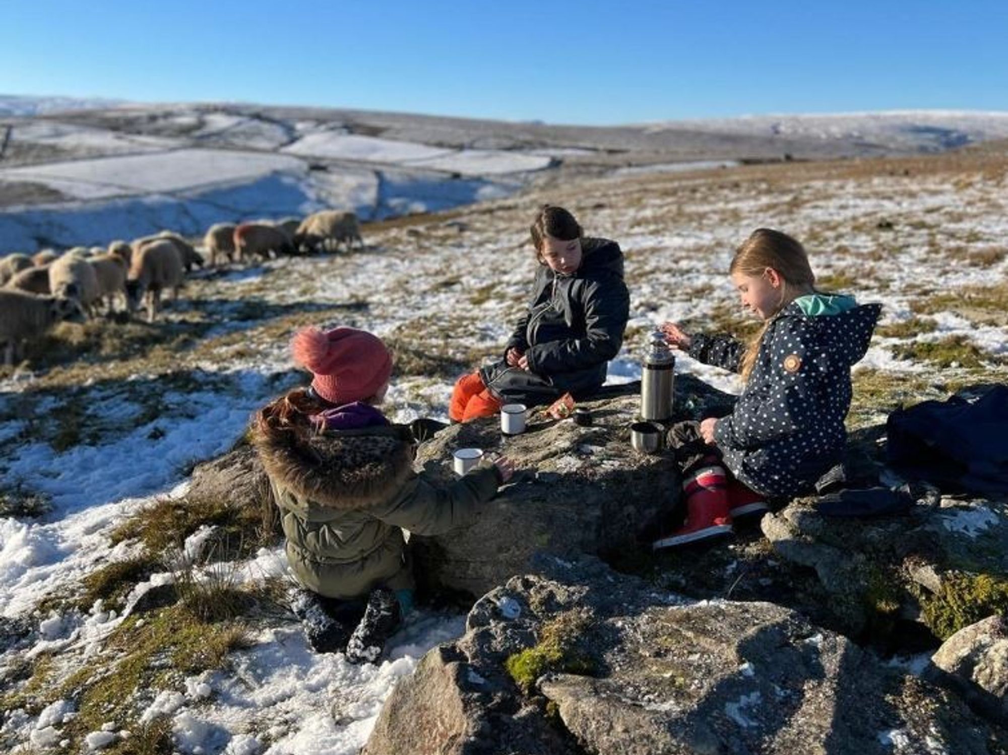 Amanda Owen's children at Ravenseat