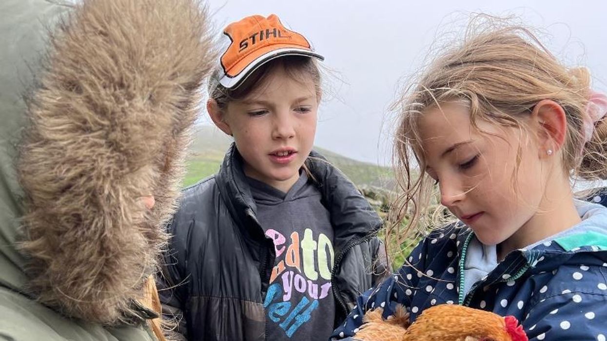 Amanda Owen\s children