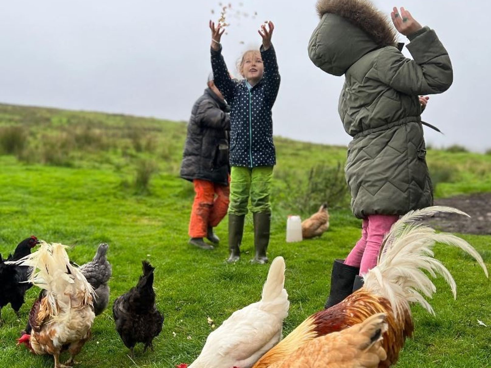 Amanda Owen\s children