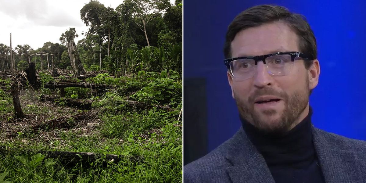NextImg:‘Complete con!’ Adam Brooks erupts at ‘climate hypocrisy’ as Brazil cuts down thousands of Amazon Rainforest trees for Cop30 summit