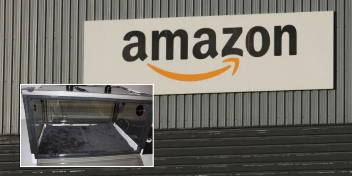 Britons warned of pet product sold on Amazon that poses ‘a serious risk of electric shock’