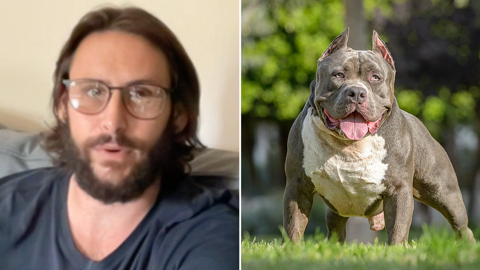 American XL bully owner Jordan Shelley and an American XL bully