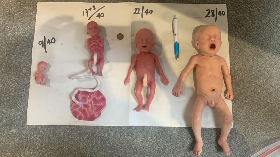 An ambulance trust has spent \u00a37,000 on making special mannequins to show pregnancy development