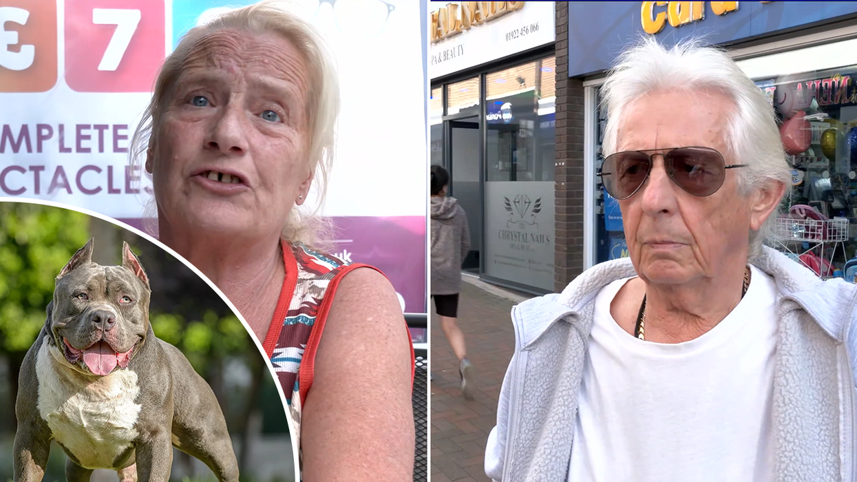 An American XL bully dog and two Britons who are divided on the matter