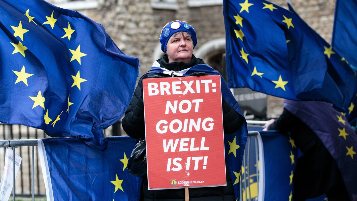 An anti-Brexit campaigner in Westminster