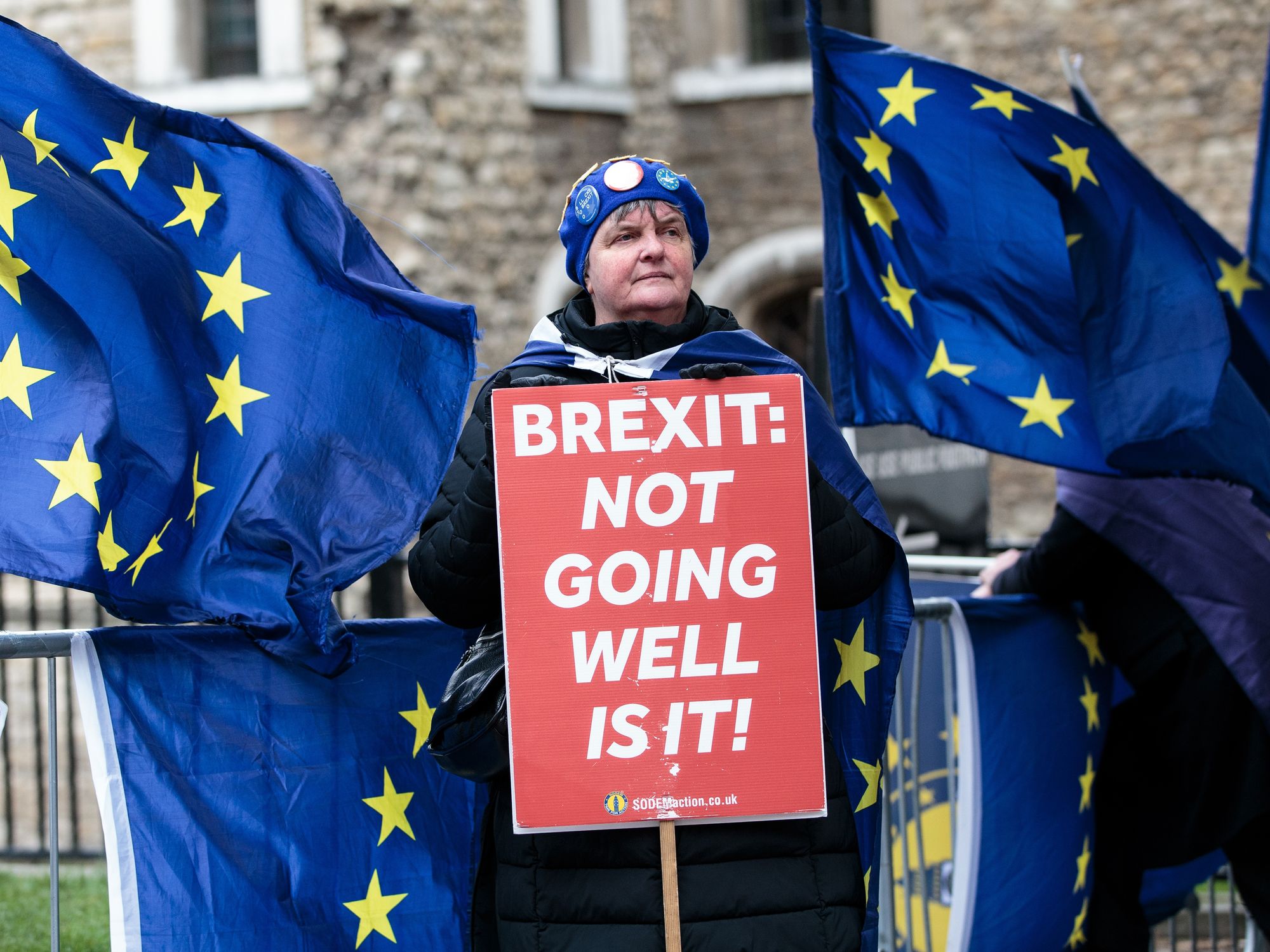 An anti-Brexit campaigner in Westminster