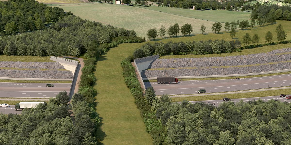 NextImg:Drivers face road closures as £500m project begins installation of 'green bridge' to help wildlife
