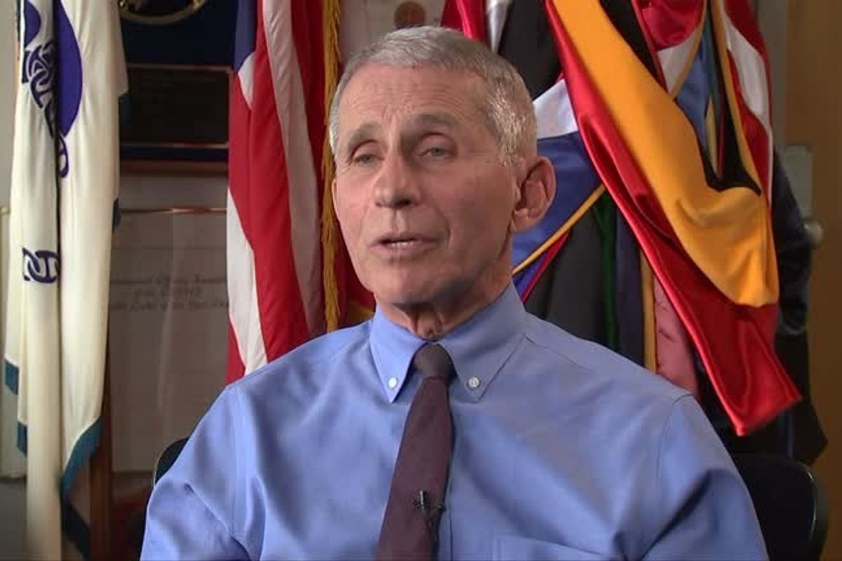 An image of Anthony Fauci