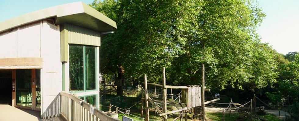 An image of Paignton Zoo's Monkey Heights