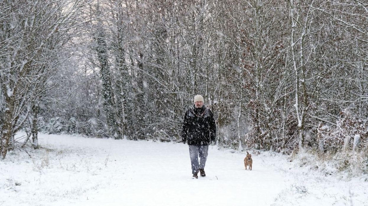 An image of snow falling