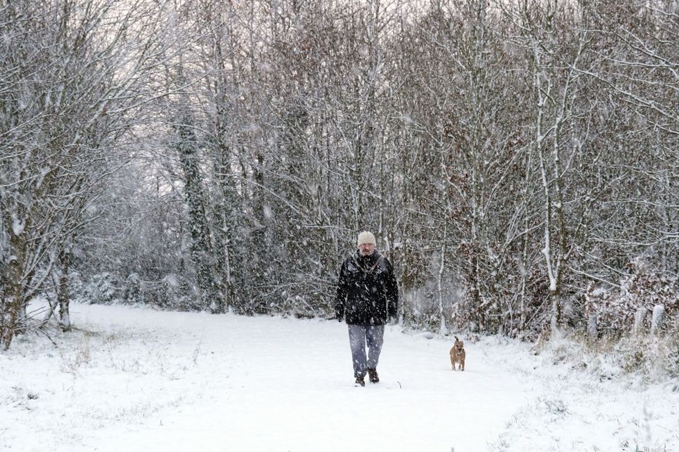 An image of snow falling