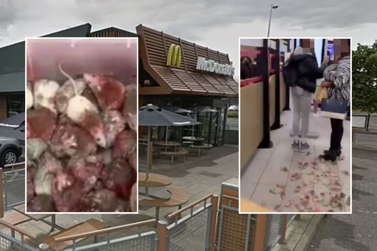 An image of the Birmingham McDonalds with insets from the clip shared on social media