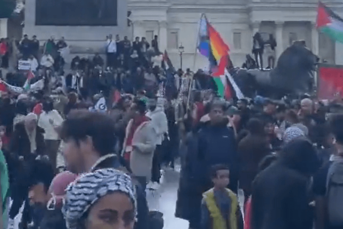 Palestine Protest Fiery Debate Erupts After Pride Flag Torn Down At palestine-protest-fiery-debate-erupts-after-pride-flag-torn-down-at